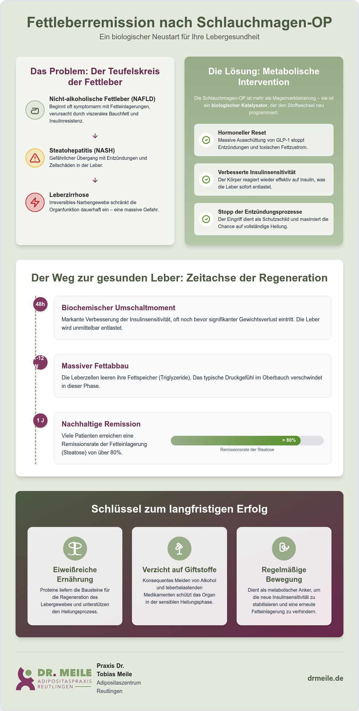 Fettleberremission nach Schlauchmagen: Chancen & Ablauf