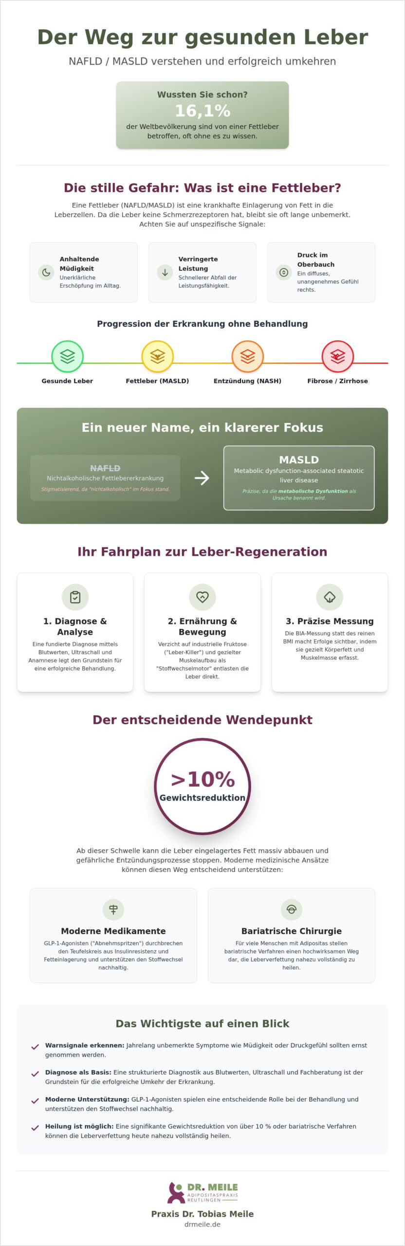 NAFLD: Ursachen und Therapie der Fettleber bei Adipositas