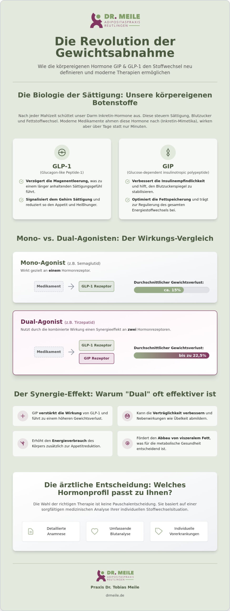 Wie GIP und GLP-1 wirken: Hormone gegen Übergewicht