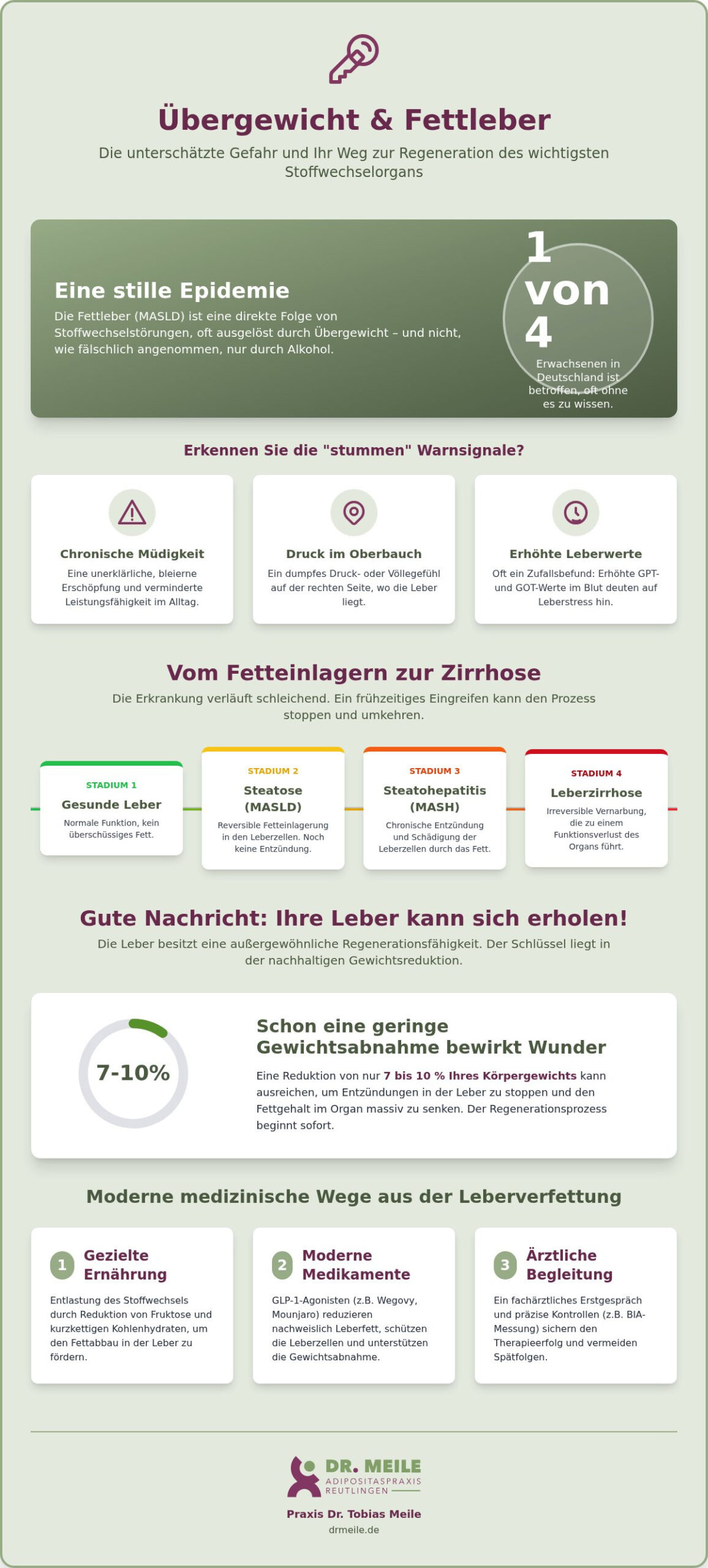Übergewicht und Fettleber: Risiken & Behandlungserfolge