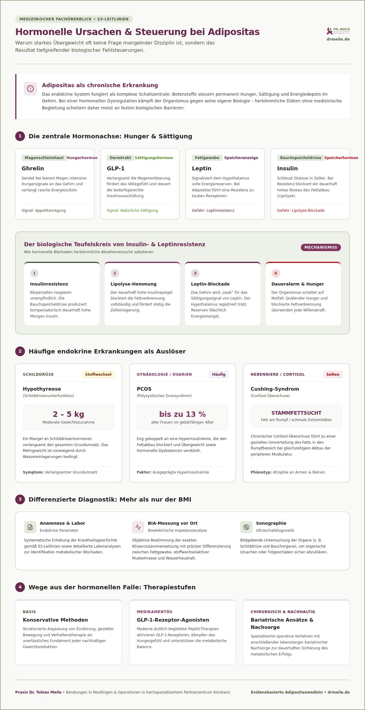 Hormonelle Ursachen von Adipositas: Ein Fachüberblick